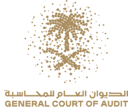 الديوان العام للمحاسبة